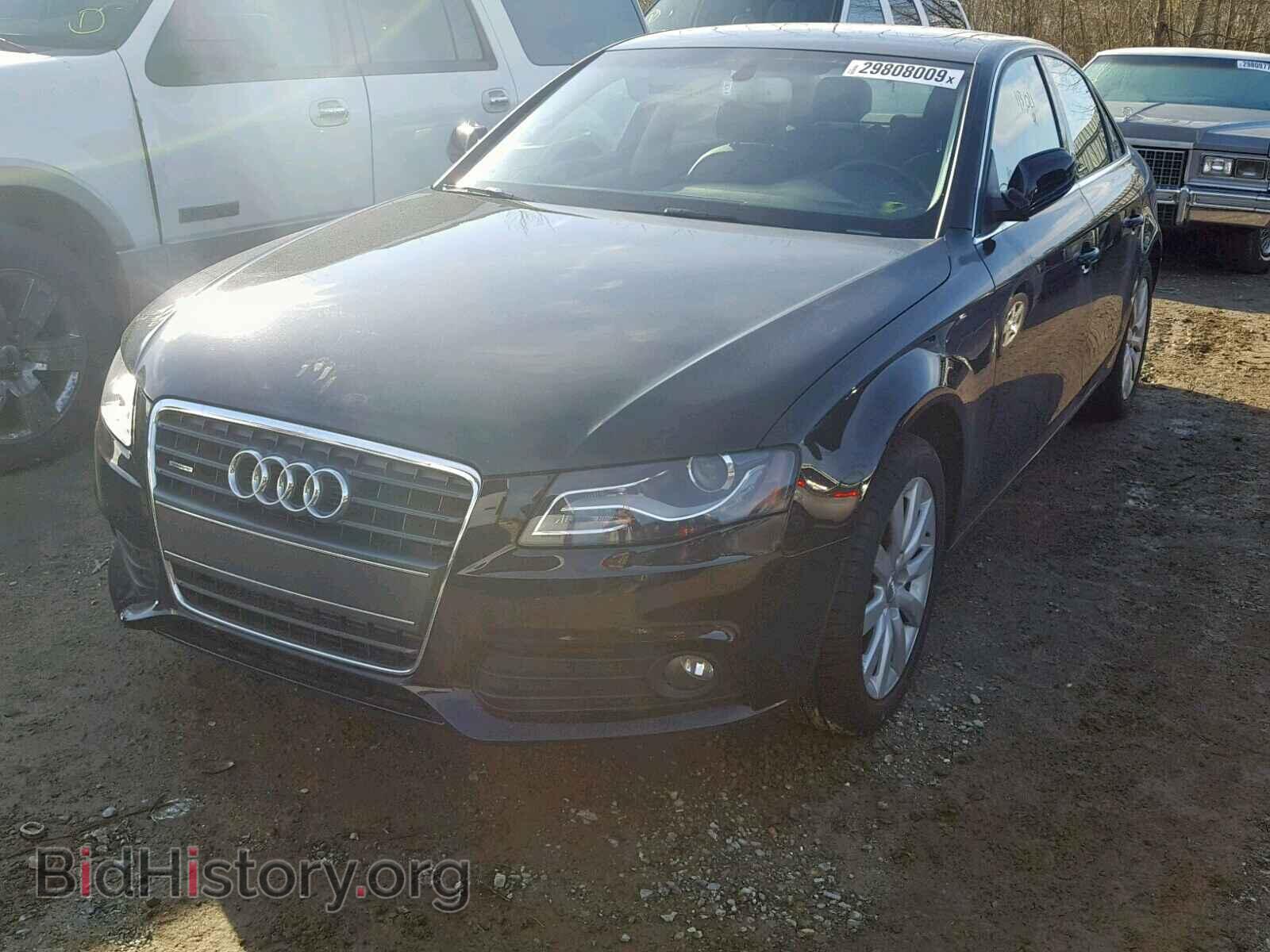 2011 AUDI A4 - VIN: WAUFFAFL4BN007794 - Фото 2