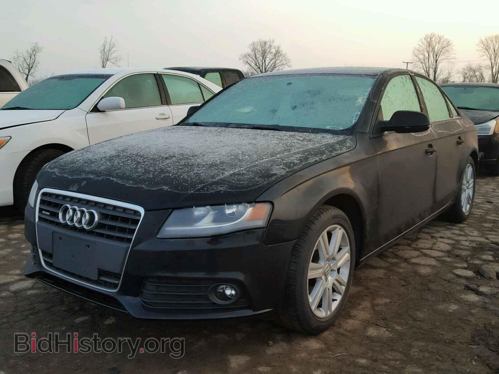 2010 AUDI A4 - VIN: WAUBFAFL1AN059106 - Фото 2