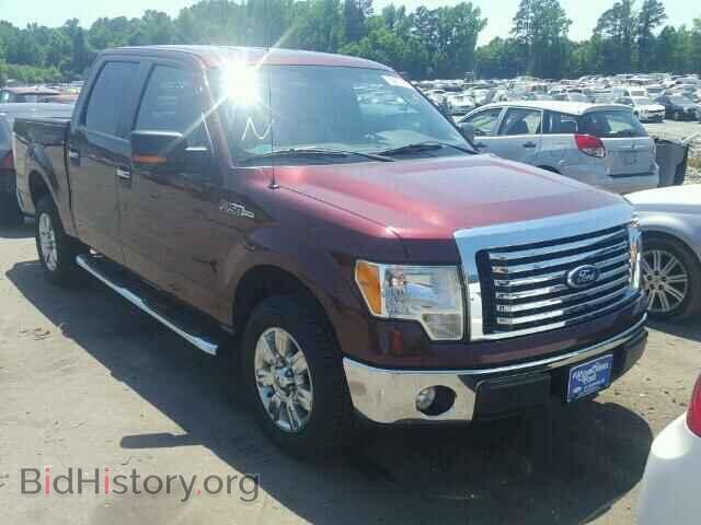 Фотография 1FTEW1C82AFD61465 - FORD F150 2010