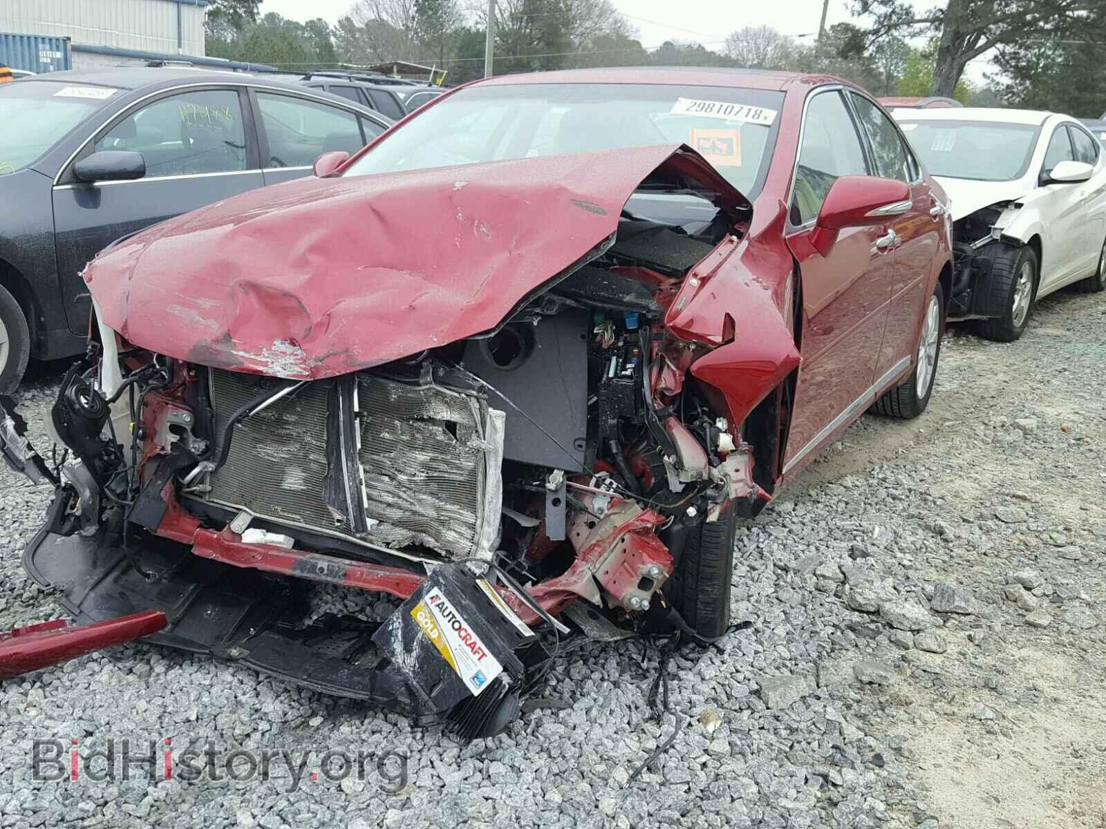 2010 LEXUS ES350 - VIN: JTHBK1EG2A2353892 - Фото 2