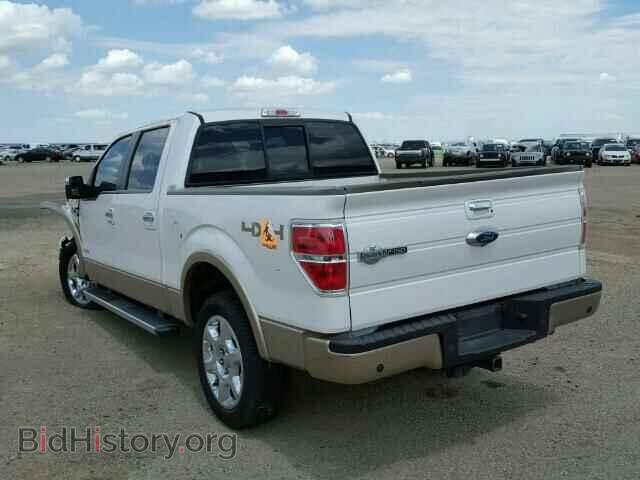 2013 FORD F150 - VIN: 1FTFW1ET3DKD68815 - Фото 3