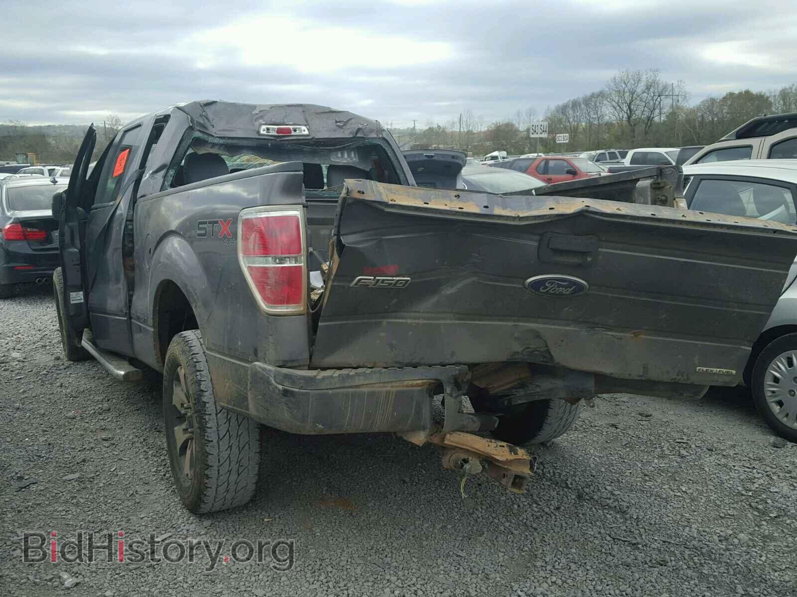 2013 FORD F150 - VIN: 1FTFX1EF2DFA23372 - Фото 3