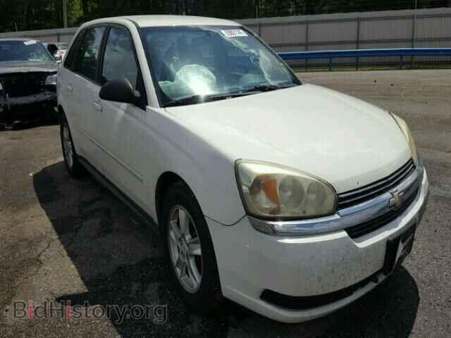 Photo 1G1ZT62895F302565 - CHEVROLET MALIBU 2005