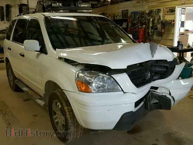 Photo 5FNYF18555B057956 - HONDA PILOT 2005