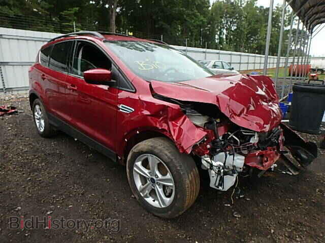 Фотография 1FMCU0GX3DUD17799 - FORD ESCAPE 2013