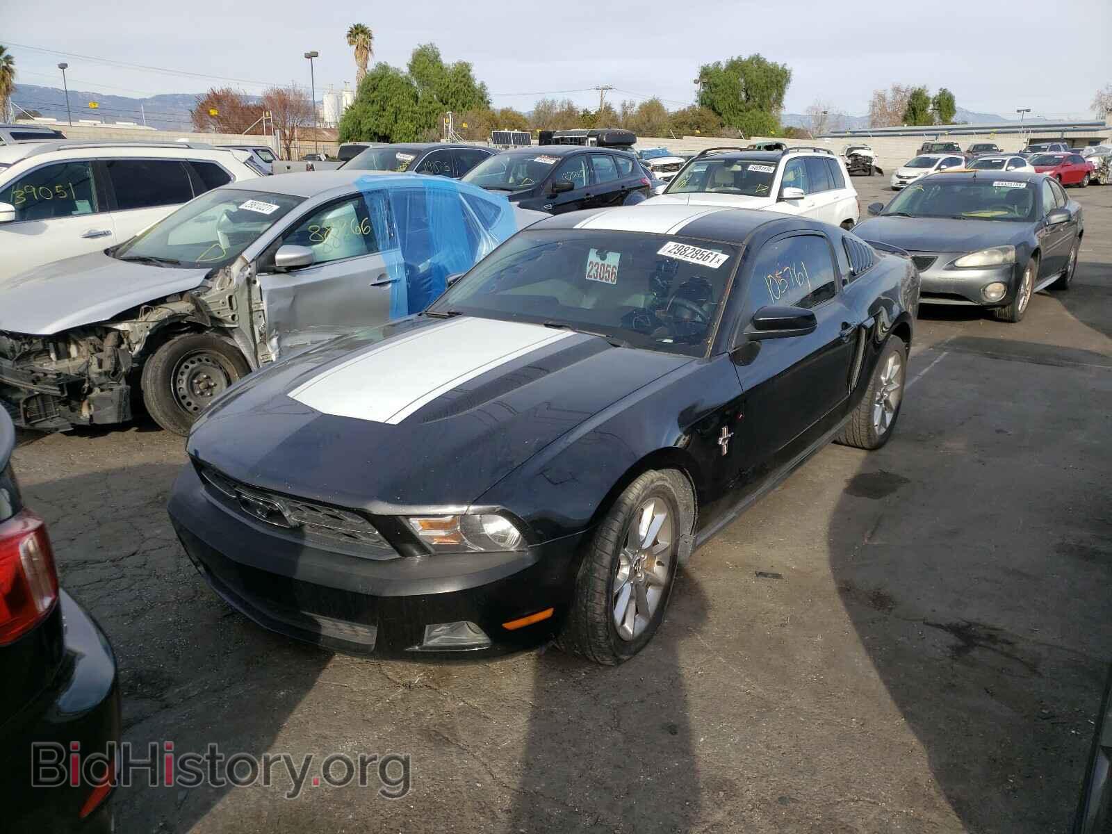2011 FORD MUSTANG - VIN: 1ZVBP8AM4B5102103 - Фото 2