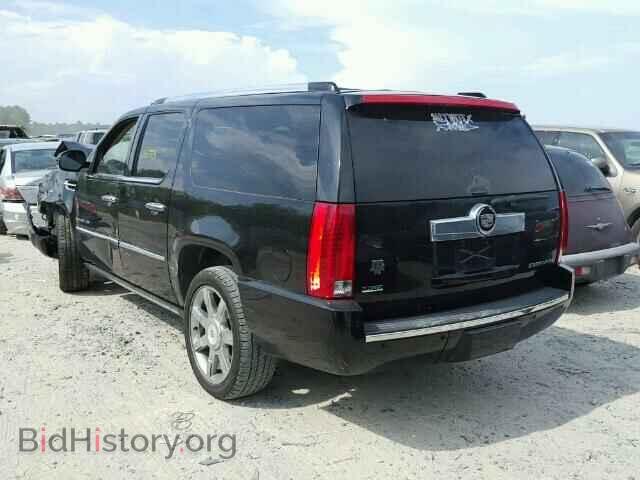 2010 CADILLAC ESCALADE - VIN: 1GYUKJEF9AR135841 - Фото 3