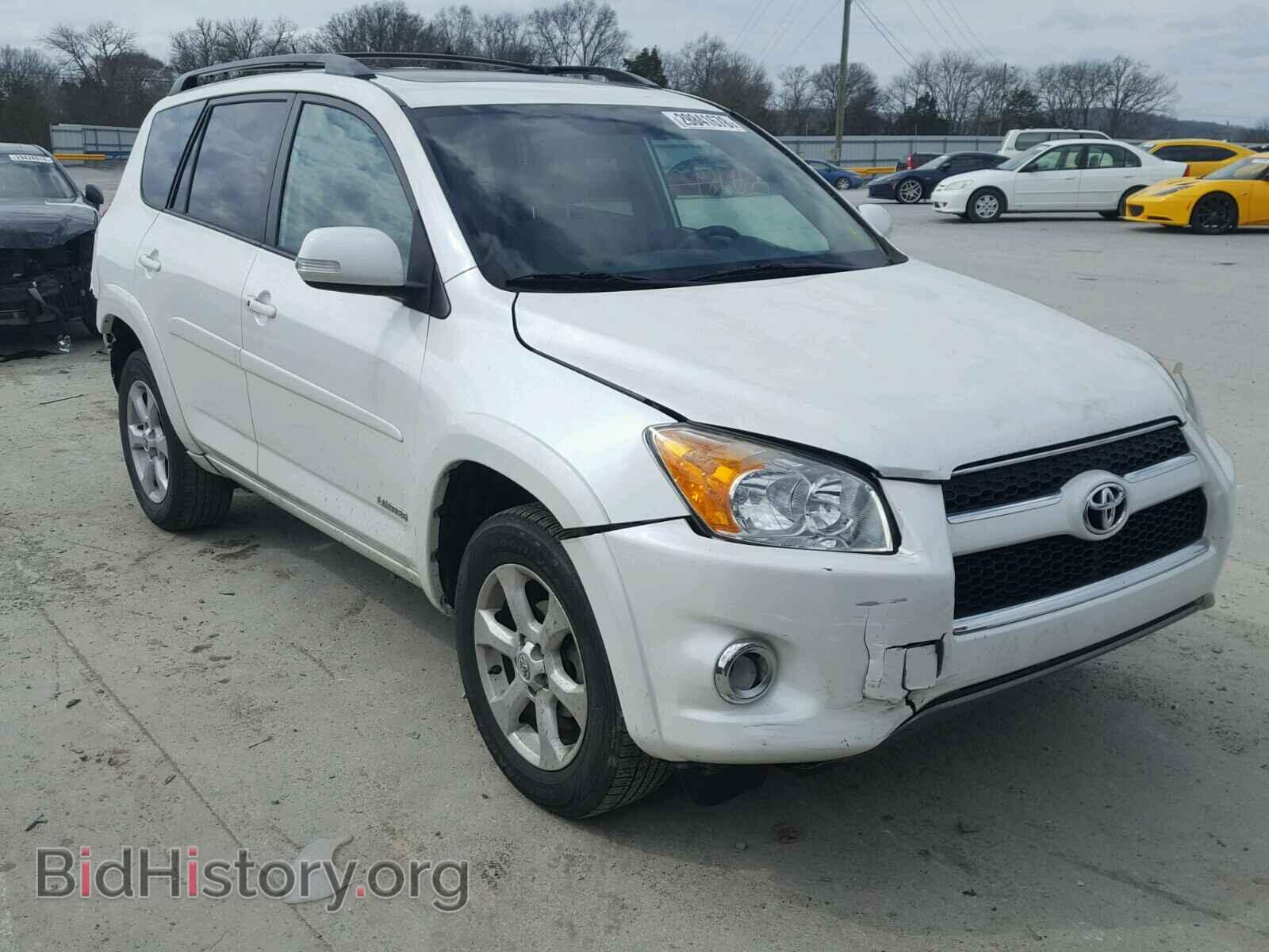 Фотография 2T3YF4DV8BW068107 - TOYOTA RAV4 2011