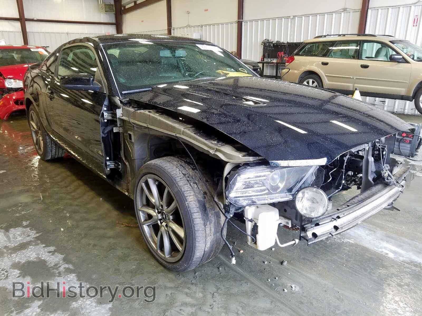Фотография 1ZVBP8CF2E5277002 - FORD MUSTANG 2014