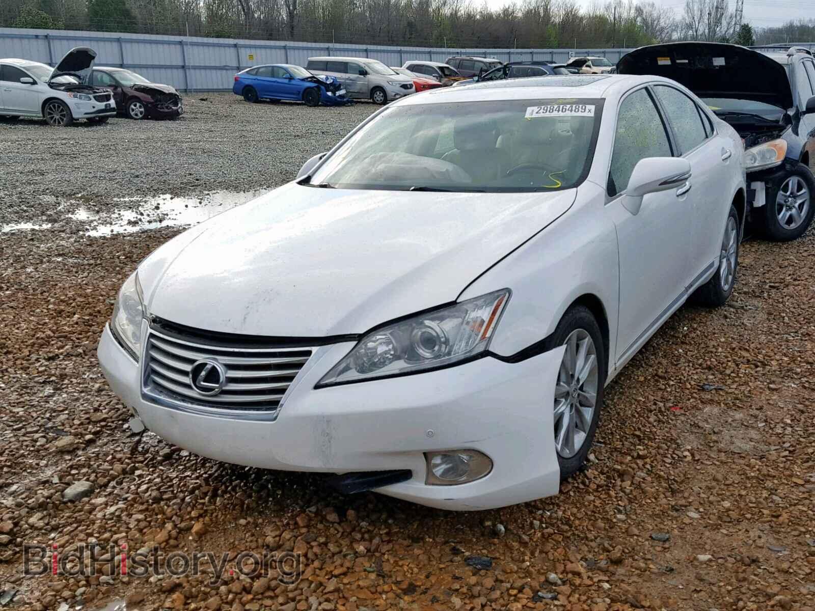 2012 LEXUS ES350 - VIN: JTHBK1EG9C2511227 - Фото 2