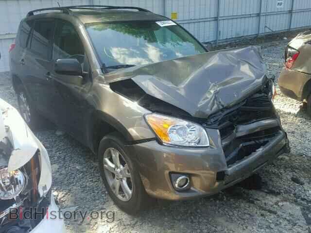 Фотография 2T3ZF4DV1CW110509 - TOYOTA RAV4 2012