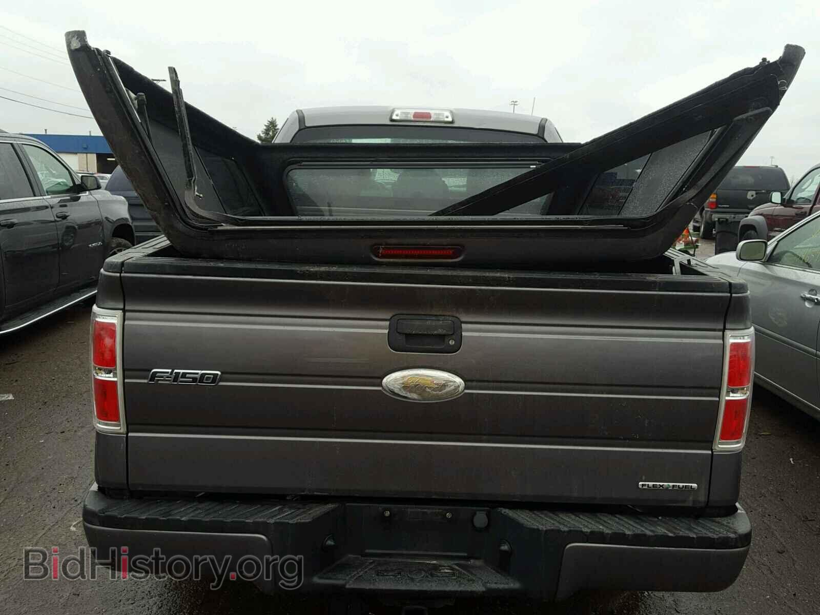 2011 FORD F150 - VIN: 1FTEX1CM1BFB76545 - Фото 9