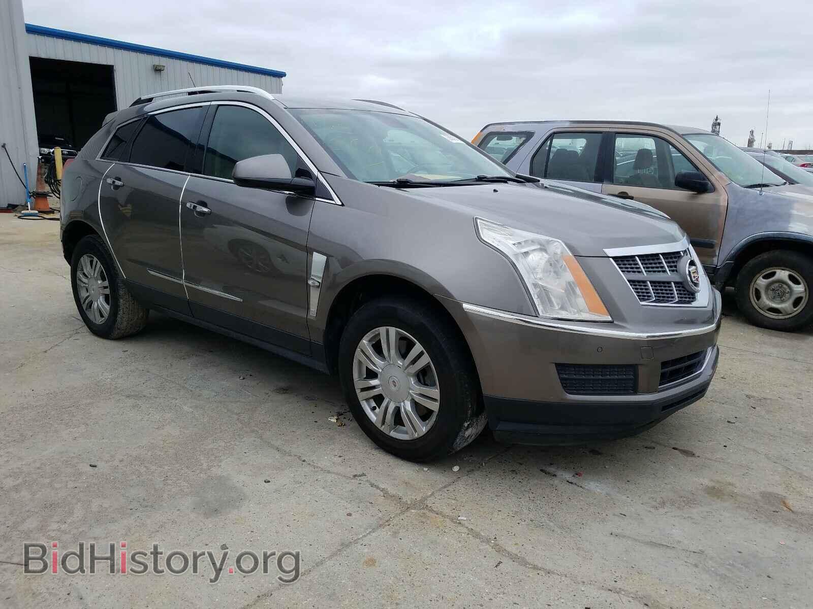 Фотография 3GYFNAE32CS505016 - CADILLAC SRX 2012