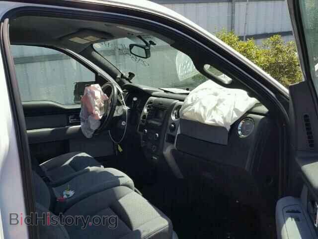 2013 FORD F150 - VIN: 1FTMF1CM5DFD41840 - Фото 5