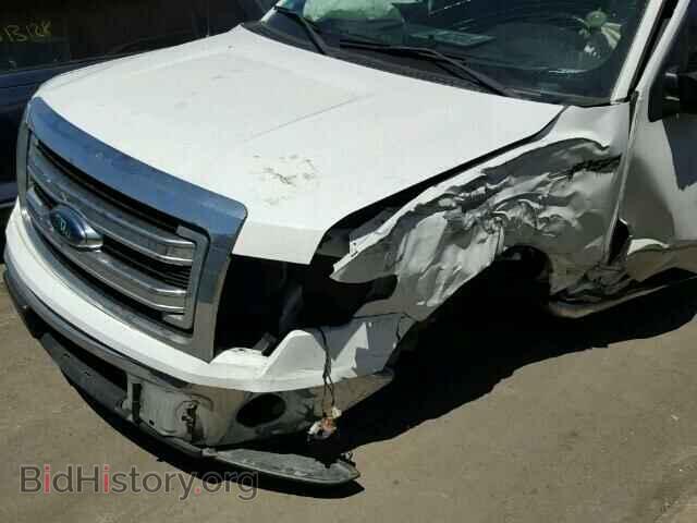 2013 FORD F150 - VIN: 1FTMF1CM5DFD41840 - Фото 9