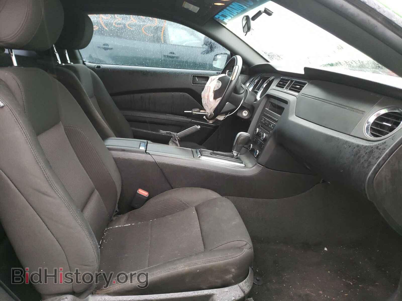 2013 FORD MUSTANG - VIN: 1ZVBP8AM4D5252666 - Фото 5