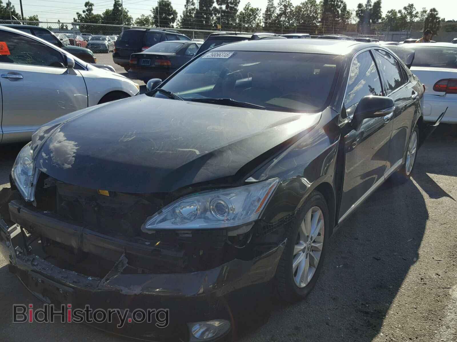 2010 LEXUS ES350 - VIN: JTHBK1EG7A2346906 - Фото 2