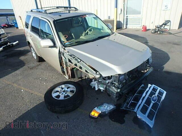 Photo 1FMCU9EG2BKC10954 - FORD ESCAPE 2011
