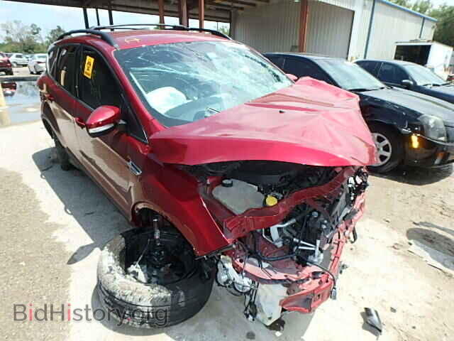 Фотография 1FMCU0H92DUA38165 - FORD ESCAPE 2013