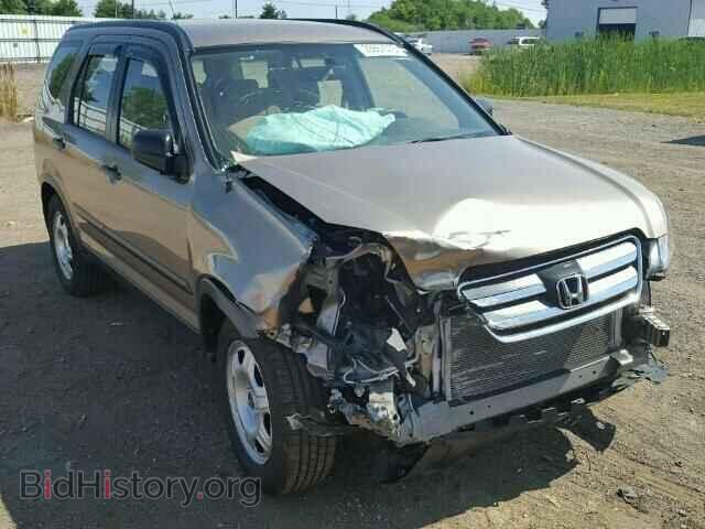 Photo JHLRD78596C060308 - HONDA CRV 2006