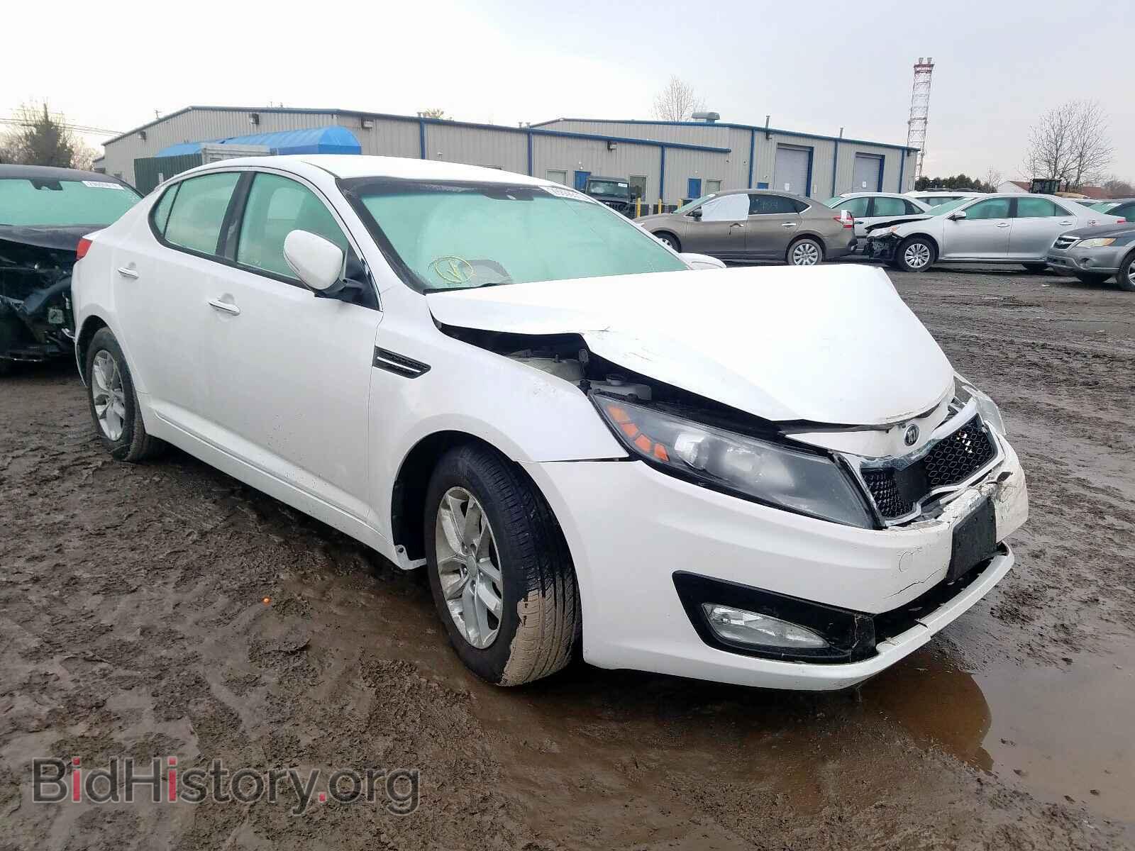 Фотография KNAGM4A76D5334979 - KIA OPTIMA 2013