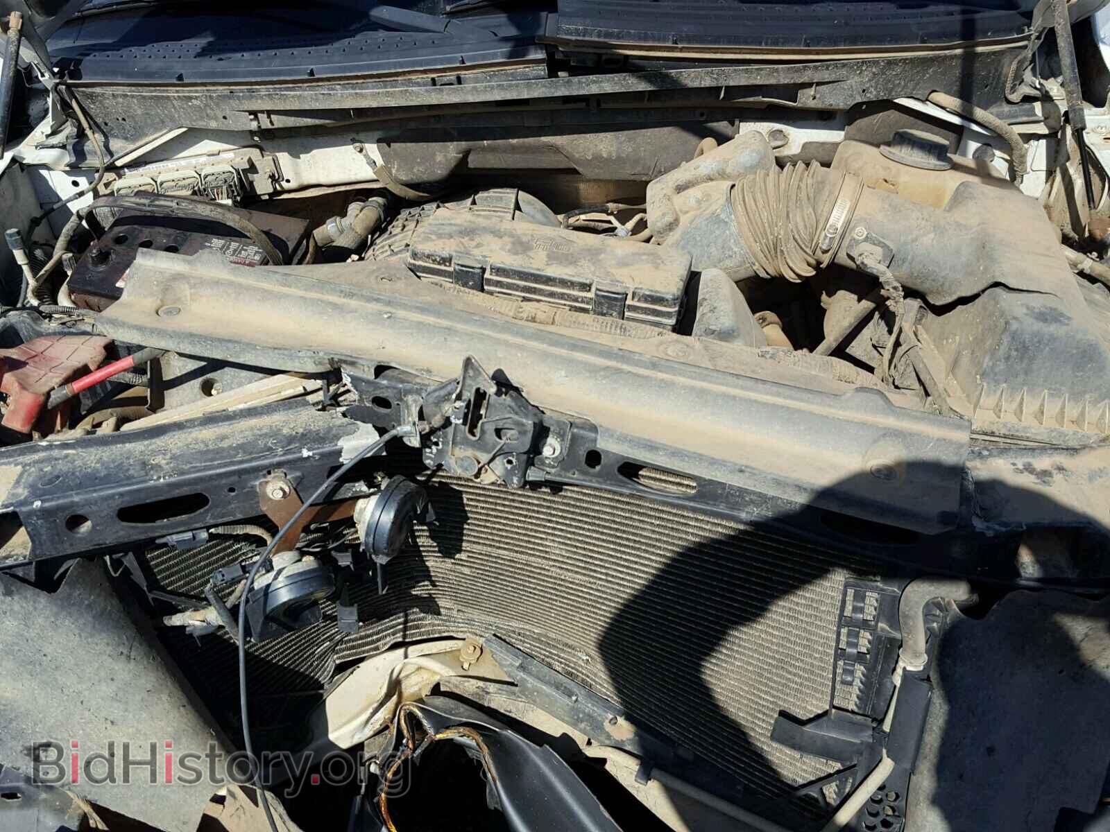 2011 FORD F150 - VIN: 1FTMF1CM9BKD49847 - Фото 7
