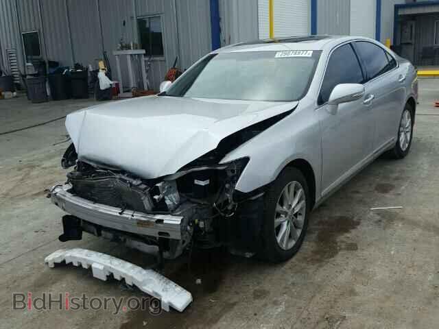 2010 LEXUS ES350 - VIN: JTHBK1EG4A2384786 - Фото 2