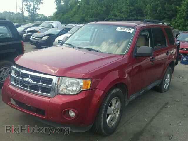 2009 FORD ESCAPE - VIN: 1FMCU03779KA79304 - Фото 2