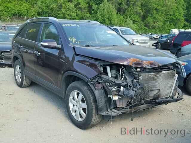 Photo 5XYKT3A15BG006172 - KIA SORENTO 2011