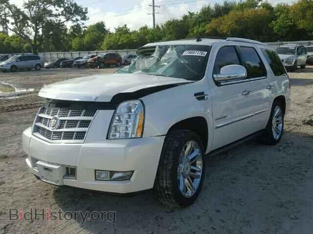 2011 CADILLAC ESCALADE - VIN: 1GYS4DEF5BR113579 - Фото 2