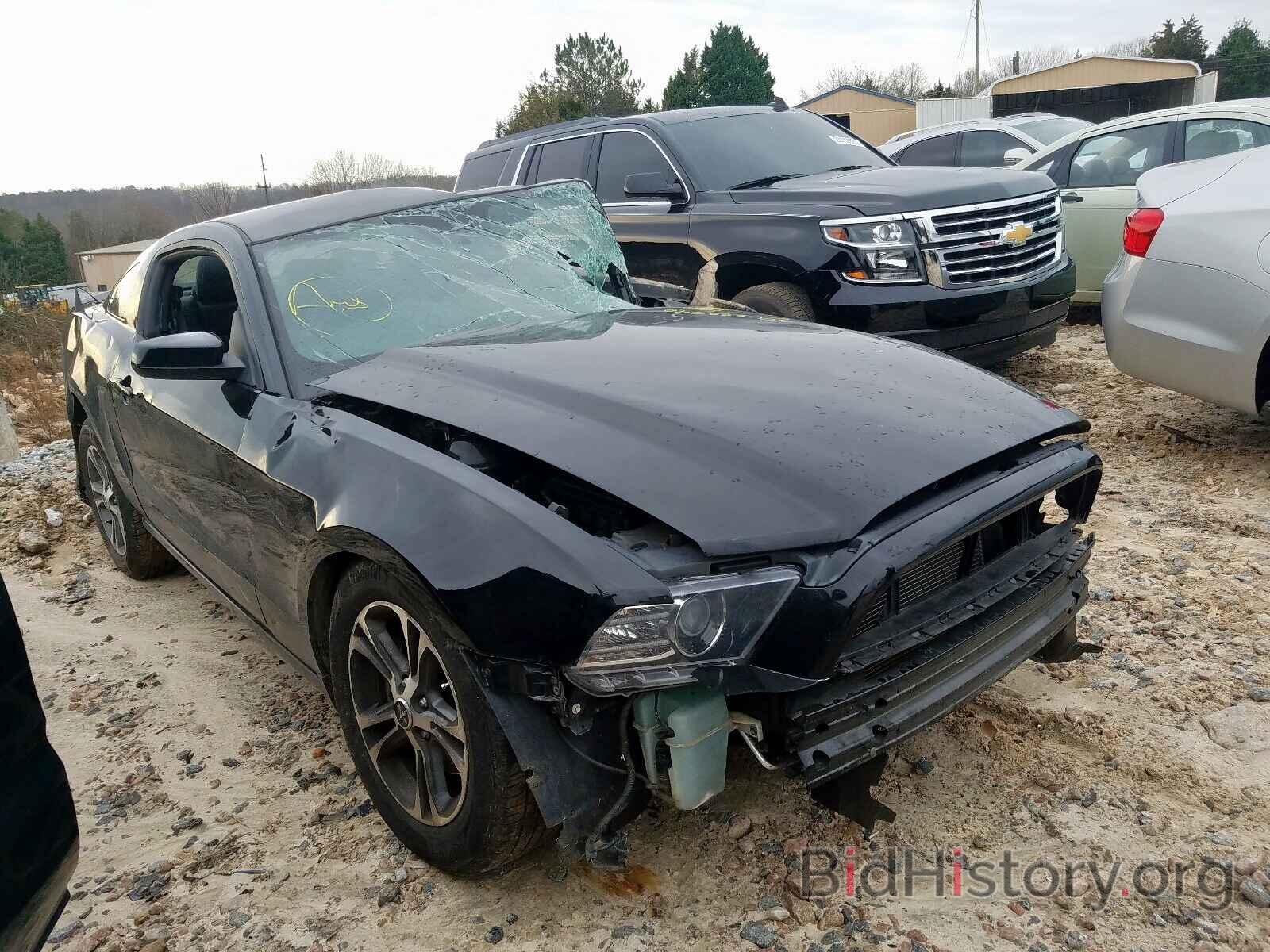 Photo 1ZVBP8AM6E5232324 - FORD MUSTANG 2014