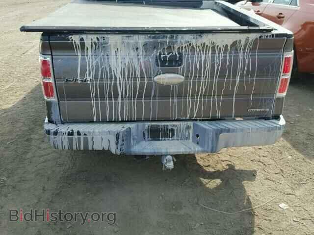 2011 FORD F150 - VIN: 1FTMF1EM4BFD06569 - Фото 6