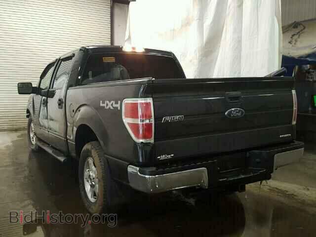 2013 FORD F150 - VIN: 1FTFW1EF1DFB68454 - Фото 3
