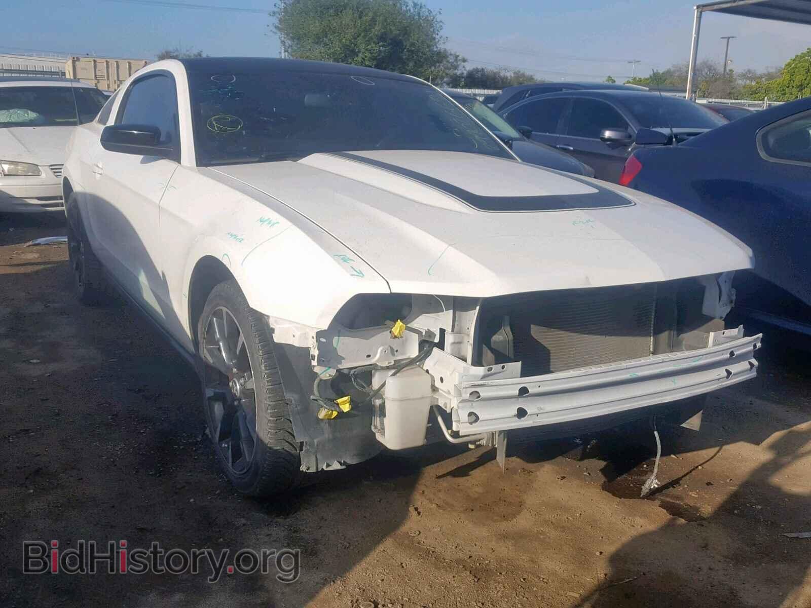 Фотография 1ZVBP8AM9B5161535 - FORD MUSTANG 2011