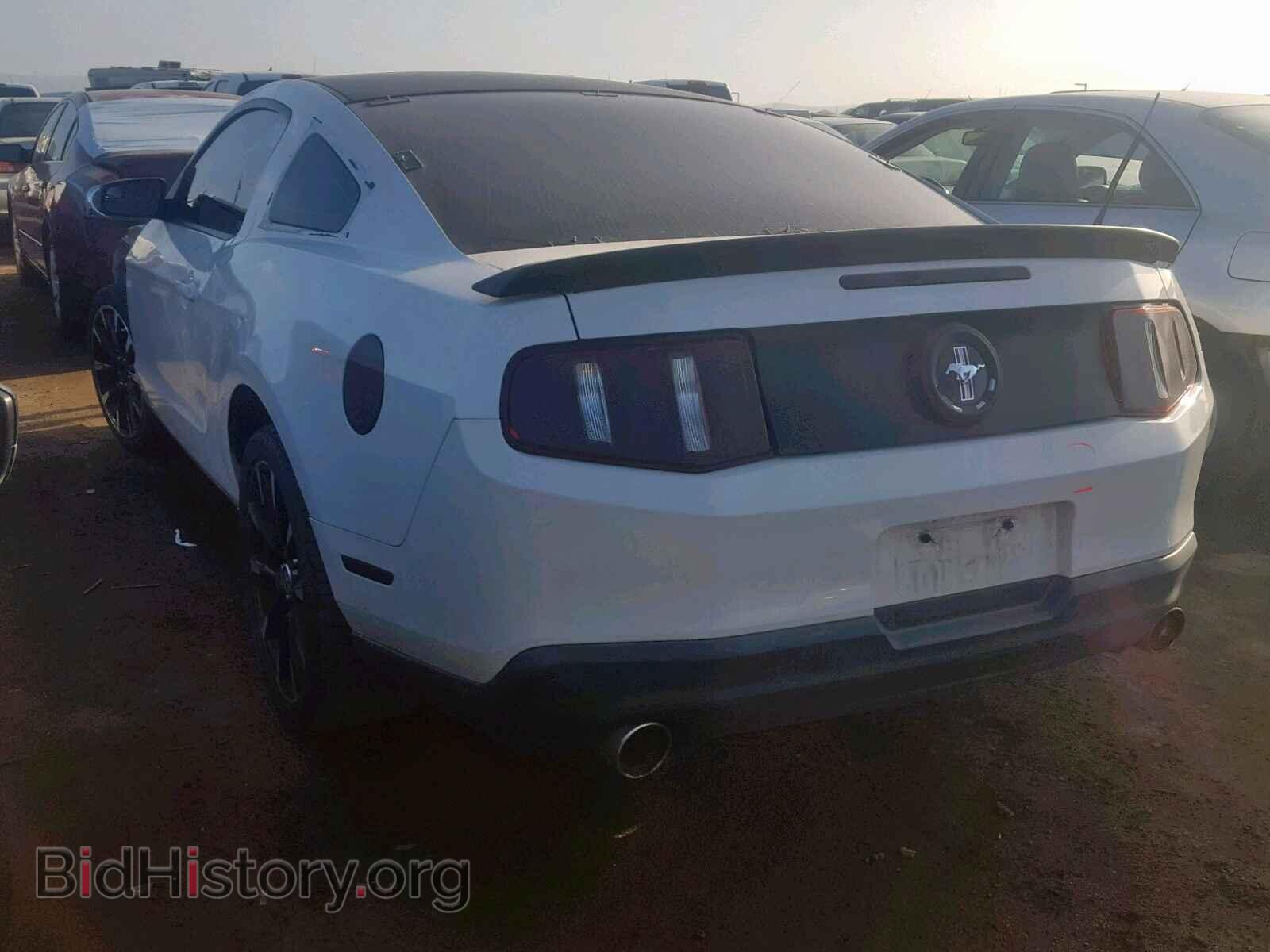 2011 FORD MUSTANG - VIN: 1ZVBP8AM9B5161535 - Фото 3