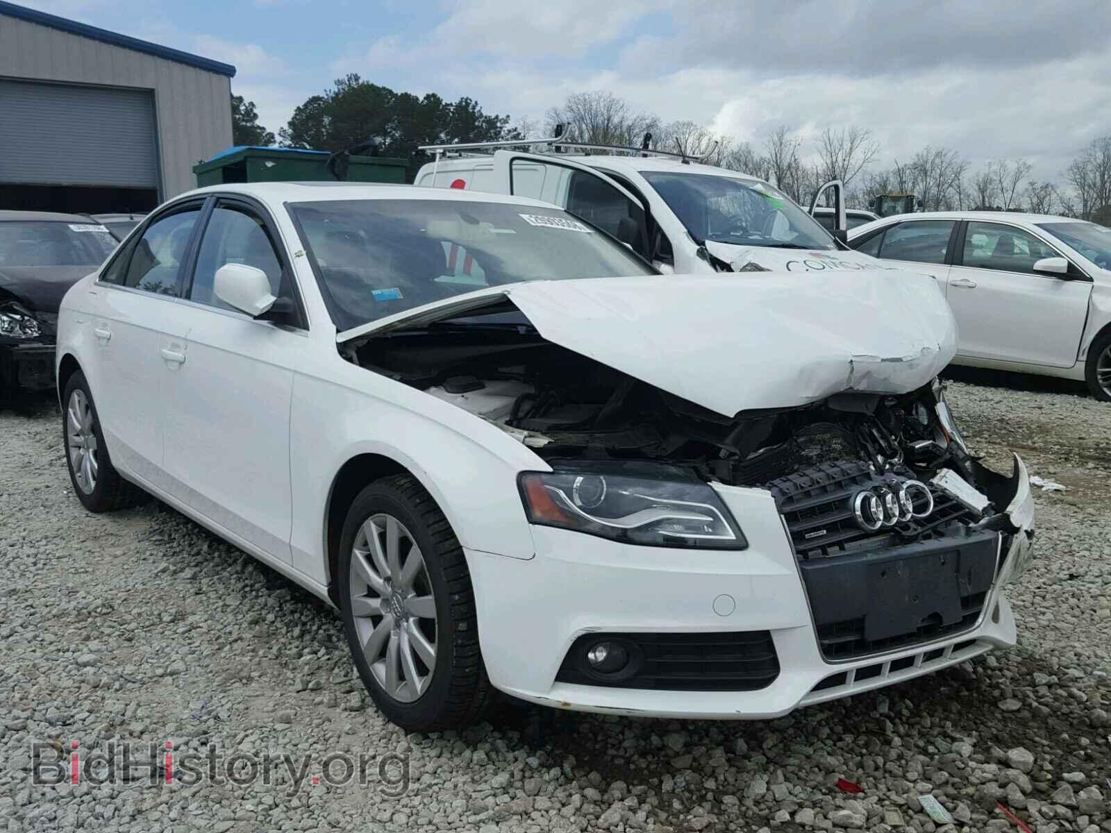 Фотография WAUFFAFL2BN049767 - AUDI A4 2011