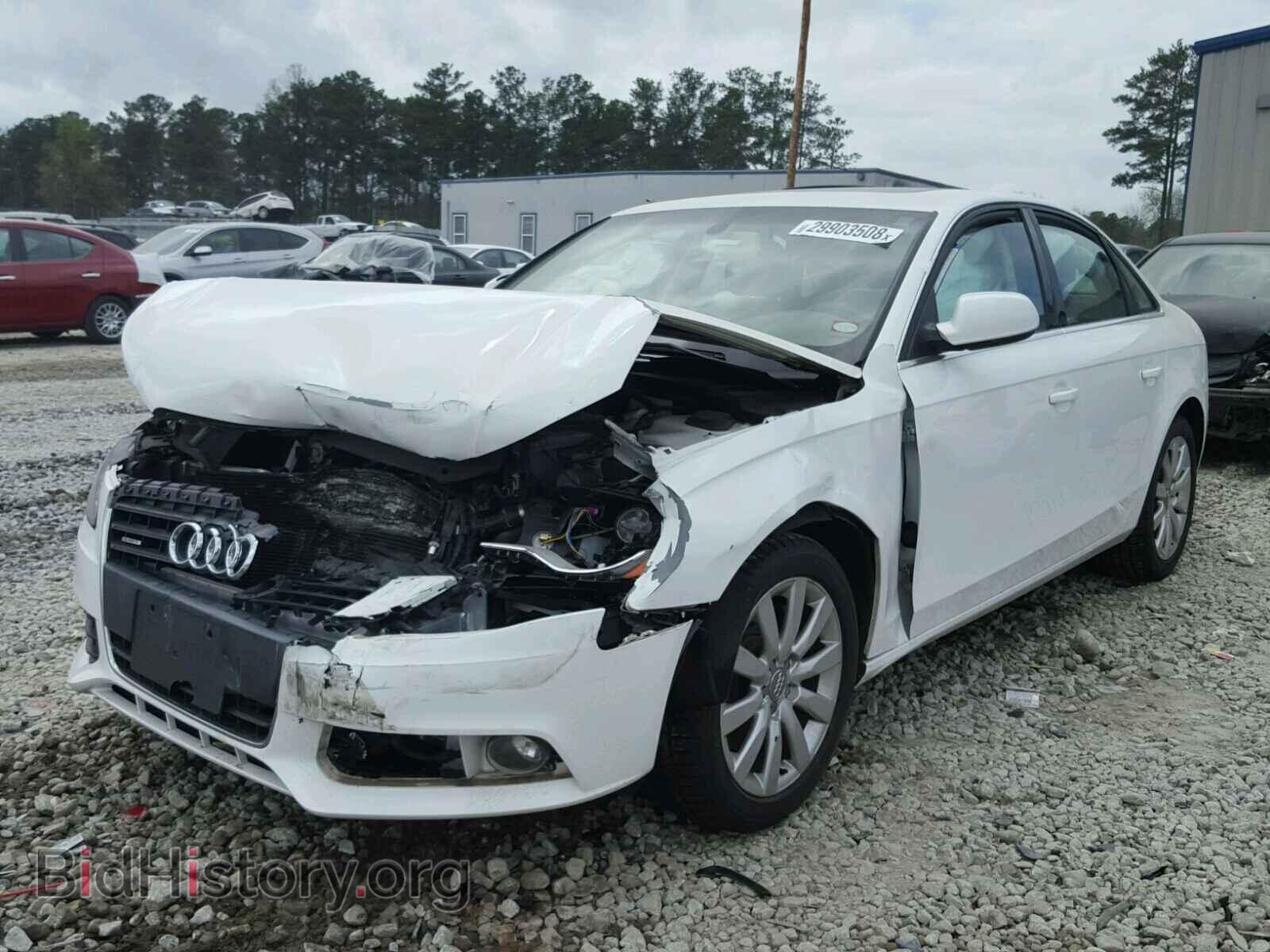 2011 AUDI A4 - VIN: WAUFFAFL2BN049767 - Фото 2