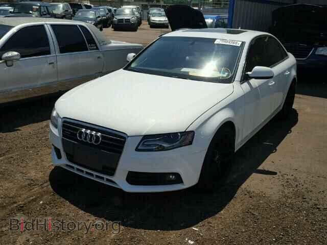 2010 AUDI A4 - VIN: WAUKFAFL9AN065042 - Фото 2