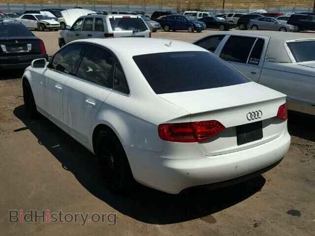 2010 AUDI A4 - VIN: WAUKFAFL9AN065042 - Фото 3