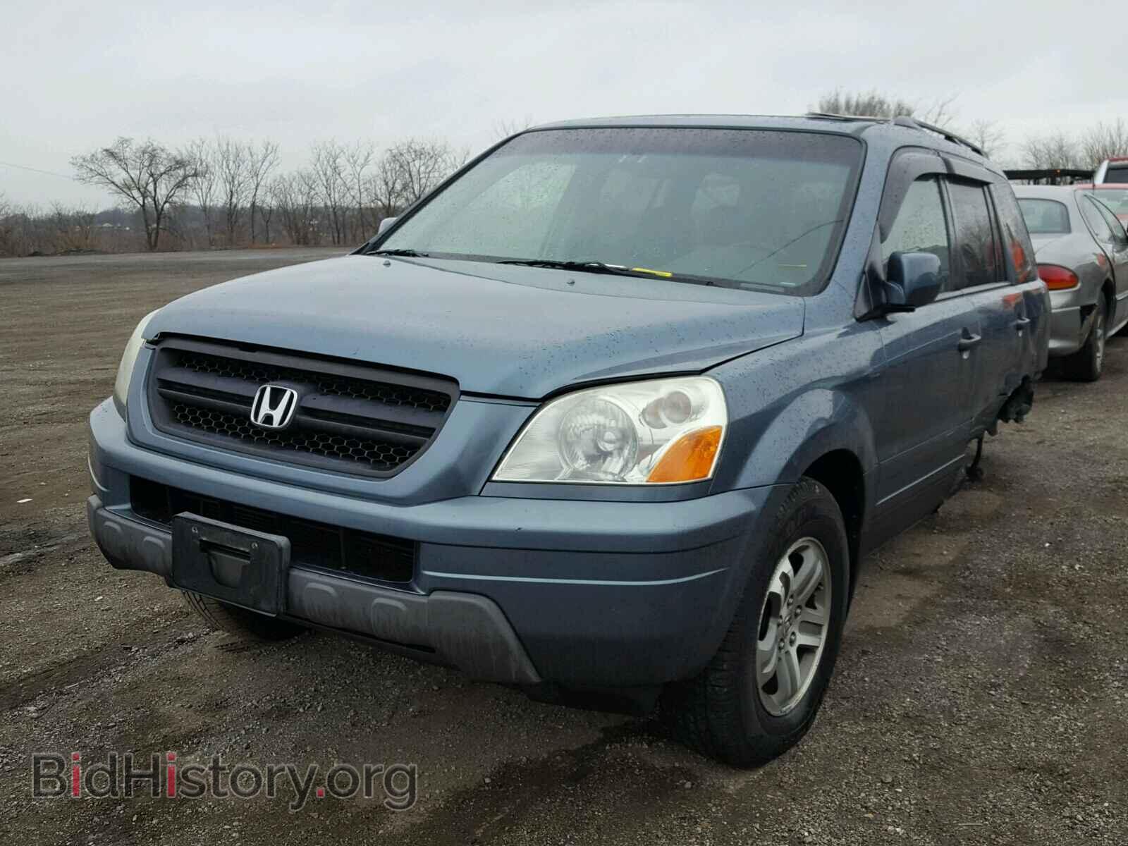 2005 HONDA PILOT - VIN: 5FNYF18565B045587 - Фото 2