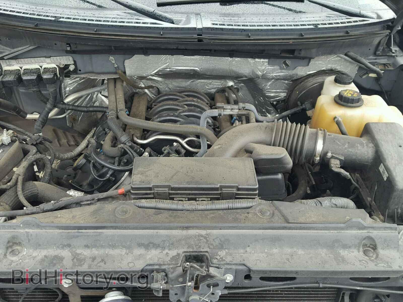 2013 FORD F150 - VIN: 1FTFW1CF4DFB35905 - Фото 7