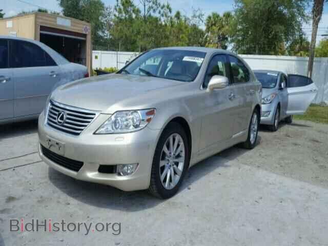 2011 LEXUS LS460 - VIN: JTHCL5EF8B5009175 - Фото 2