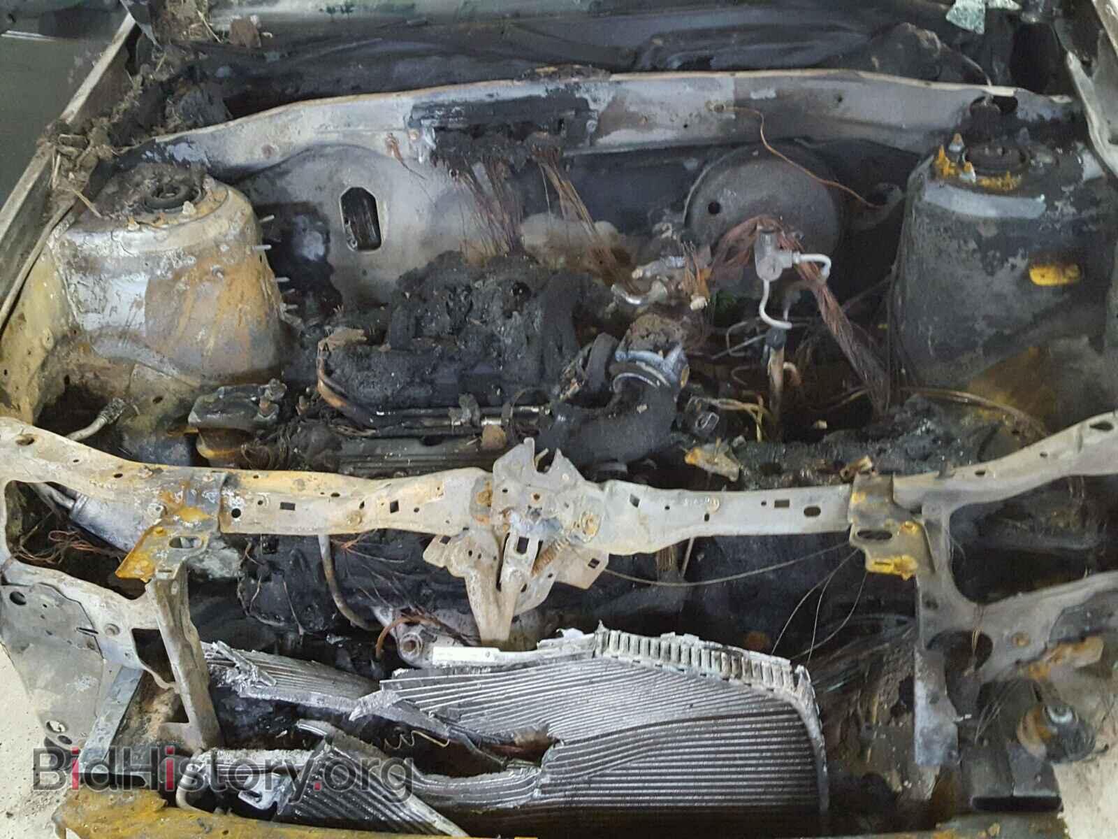 2011 FORD ESCAPE - VIN: 1FMCU0DG1BKA08913 - Фото 7
