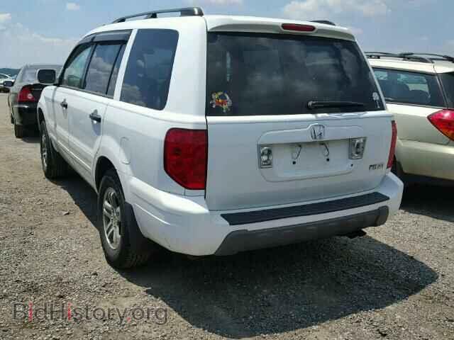 2005 HONDA PILOT - VIN: 5FNYF18555B018302 - Фото 3