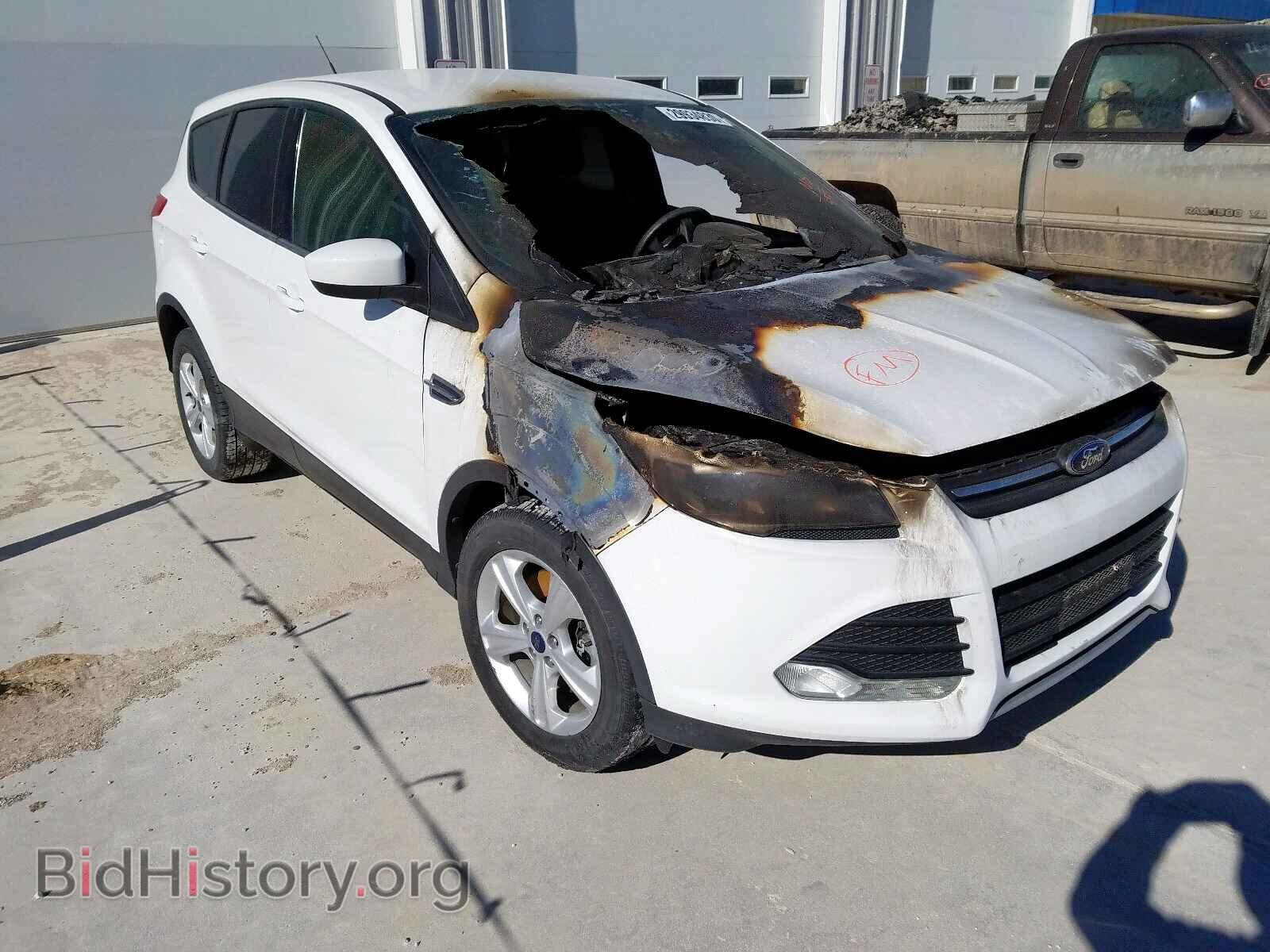 Photo 1FMCU9GX2EUB65925 - FORD ESCAPE 2014