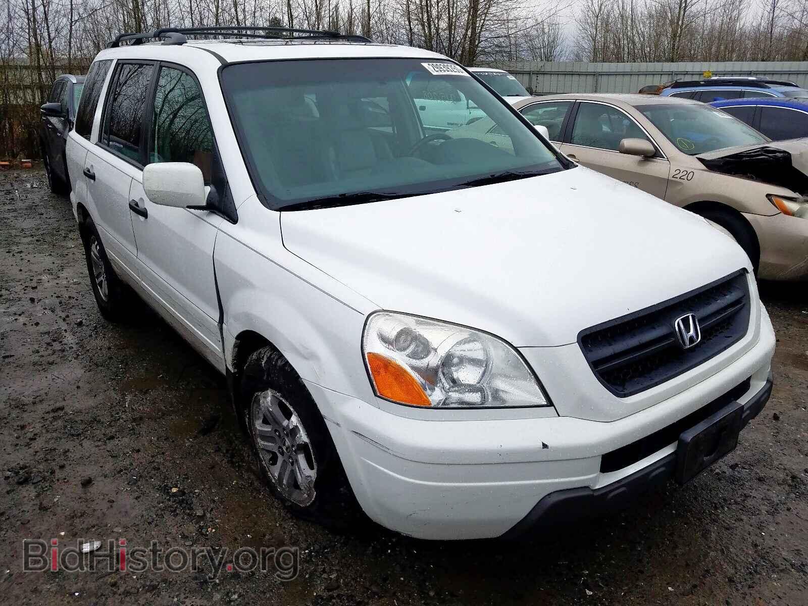 Фотография 2HKYF18505H545584 - HONDA PILOT 2005