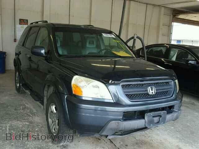 Photo 5FNYF18635B016458 - HONDA PILOT 2005