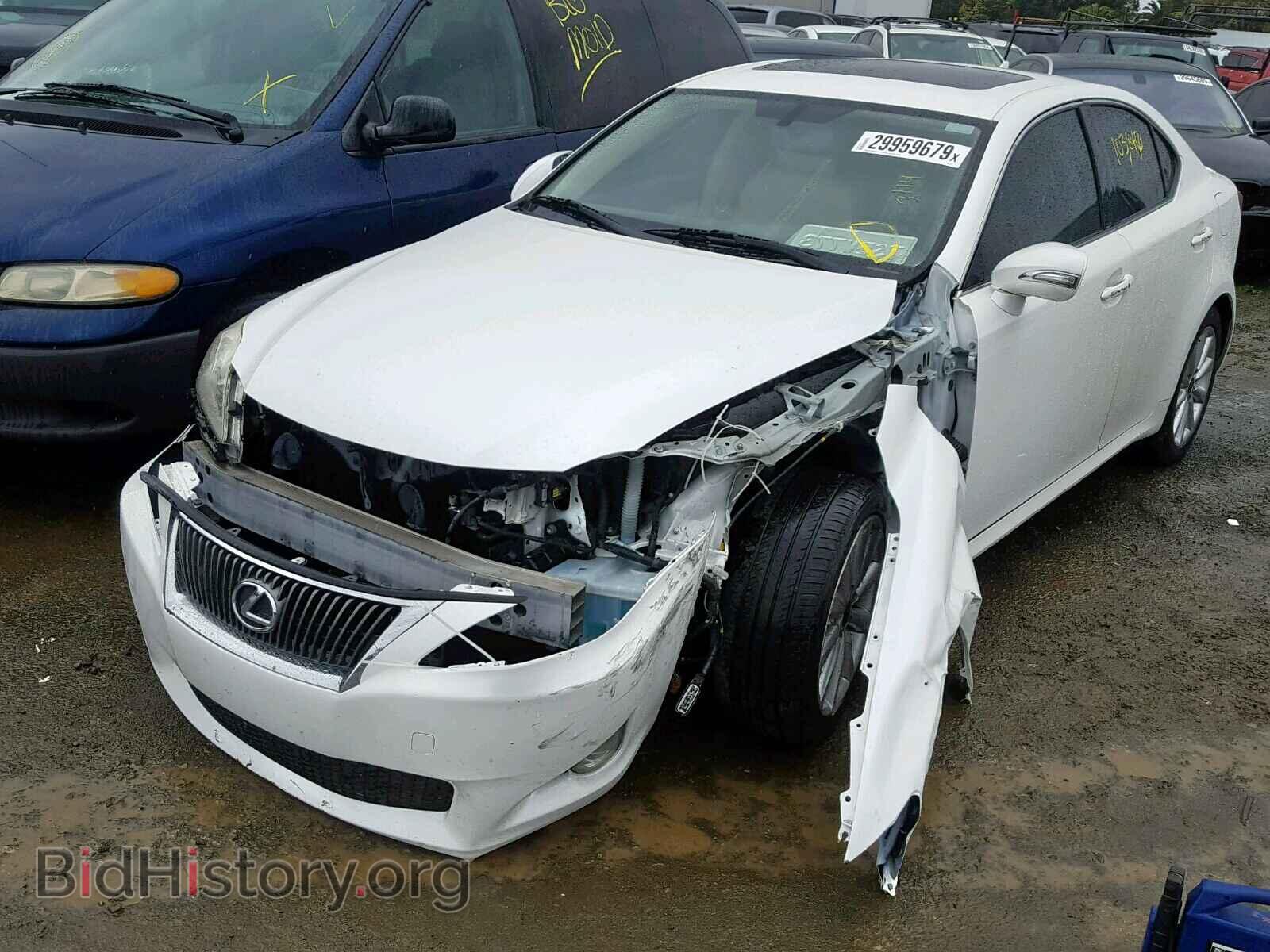 2010 LEXUS IS 250 - VIN: JTHBF5C27A2095744 - Фото 2