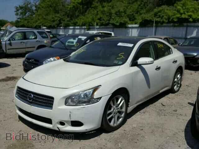 2011 NISSAN MAXIMA - VIN: 1N4AA5AP0BC862944 - Фото 2