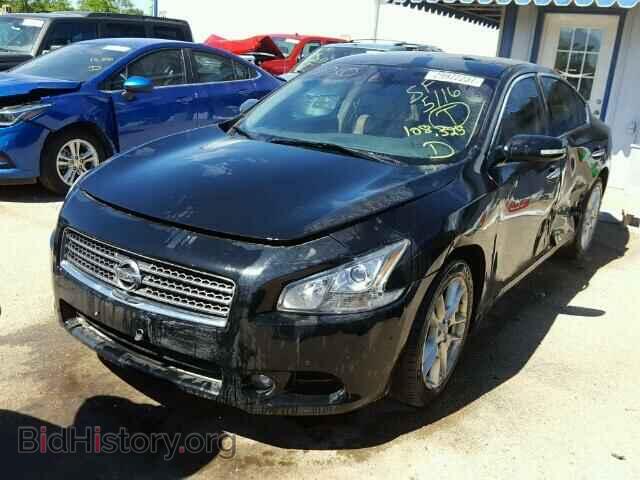 2009 NISSAN MAXIMA - VIN: 1N4AA51E09C845411 - Фото 2